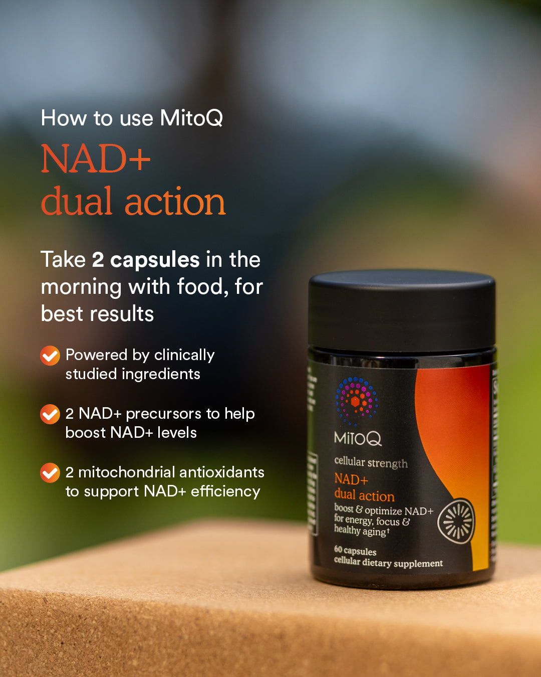 MitoQ NAD+ dual action