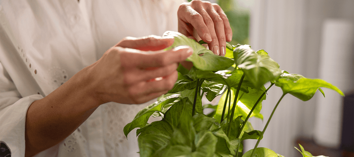 Can self-compassion reduce inflammation?