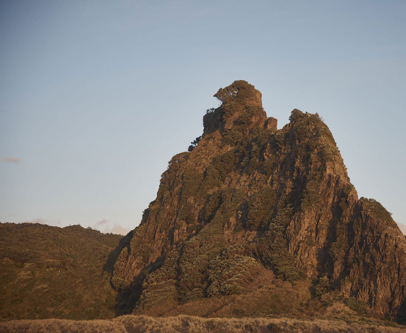 Thumbnail for Digestive health and how MitoQ helps