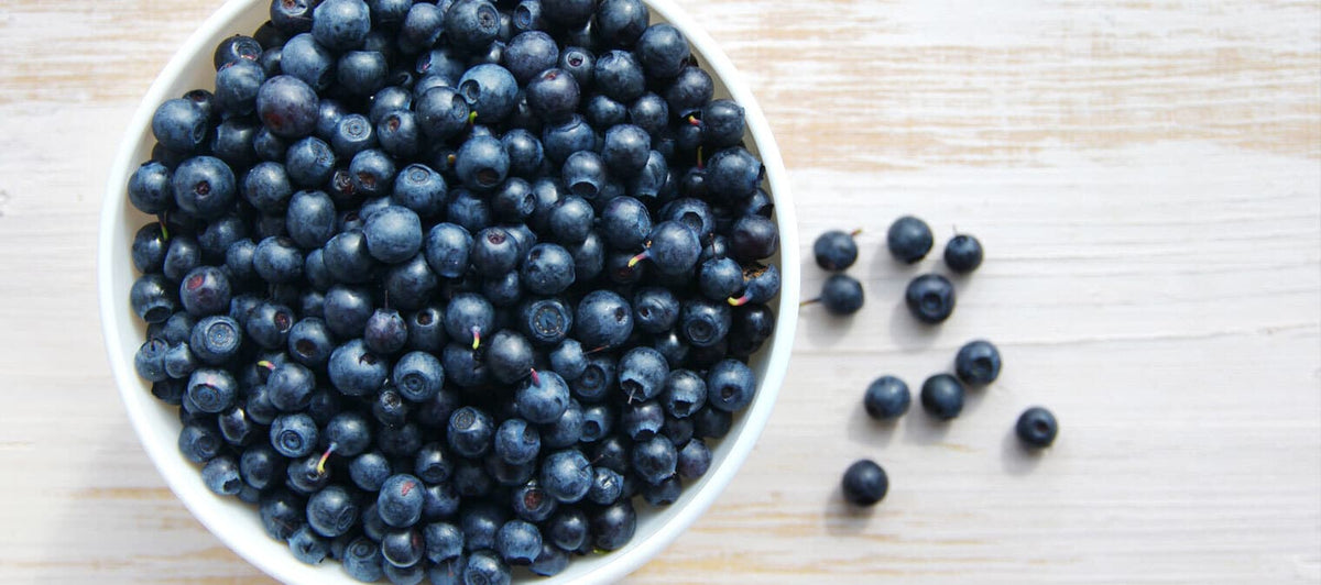 How antioxidant-rich berries support your health