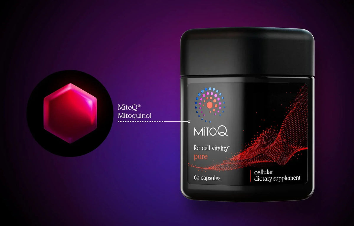 MitoQ ingredients glossary