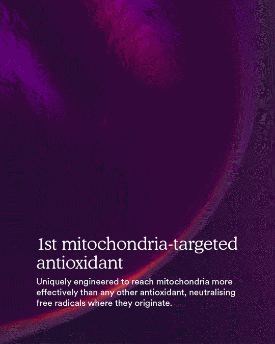 MitoQ pure triple pack