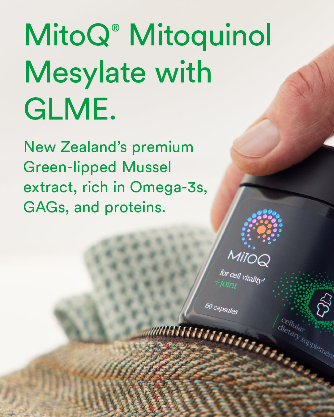 MitoQ +joint