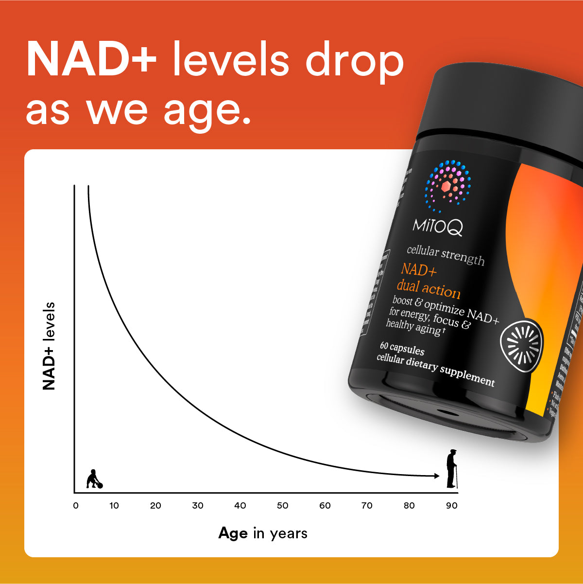 MitoQ NAD+ dual action supplement bottle with a graph showing NAD+ levels dropping with age on an orange background