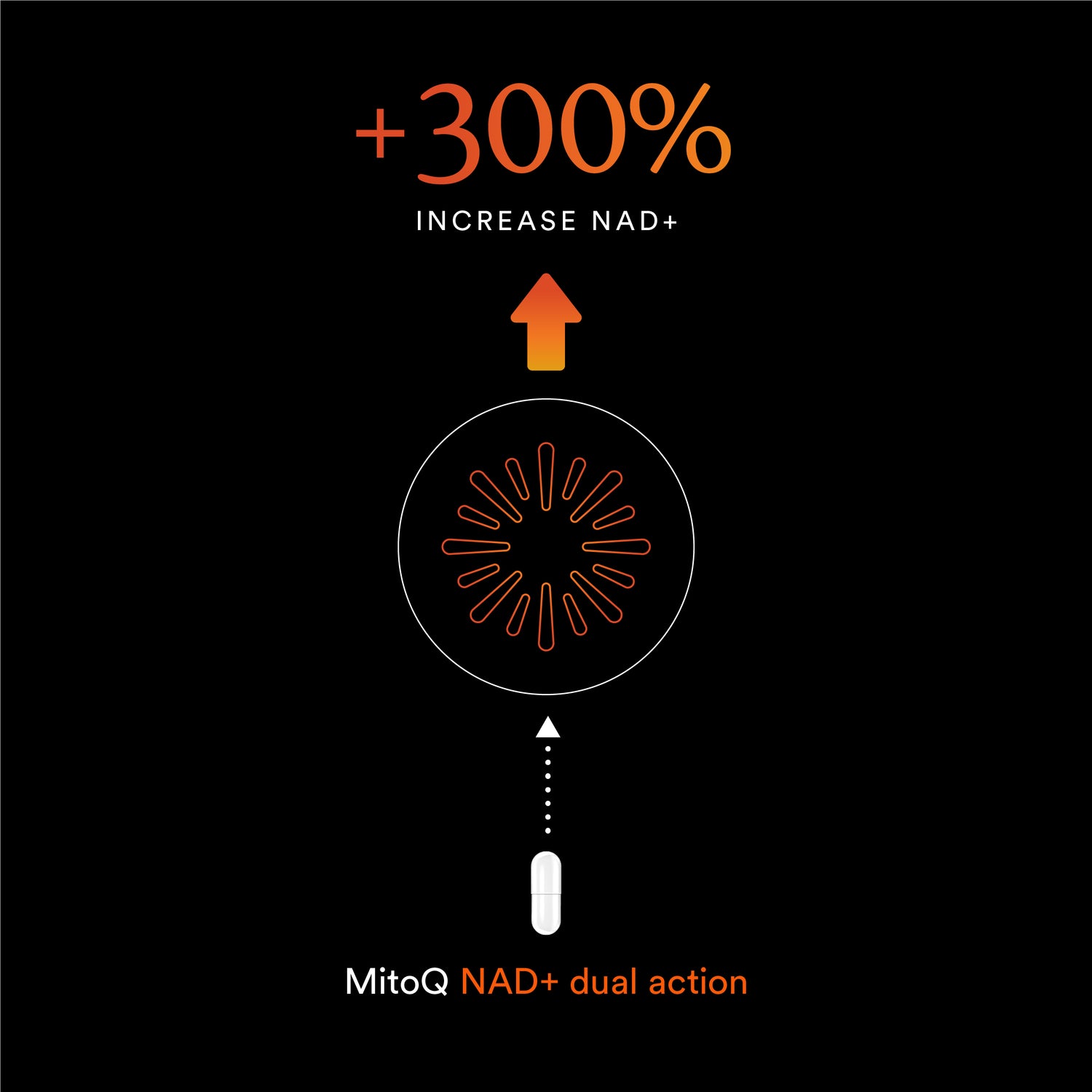 MitoQ NAD+ dual action capsule with +300% increase NAD+ text on a black background